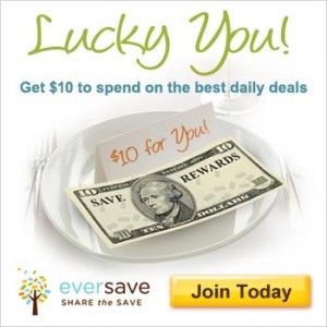 EverSave 10 Banner