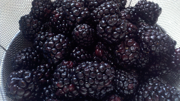 berries